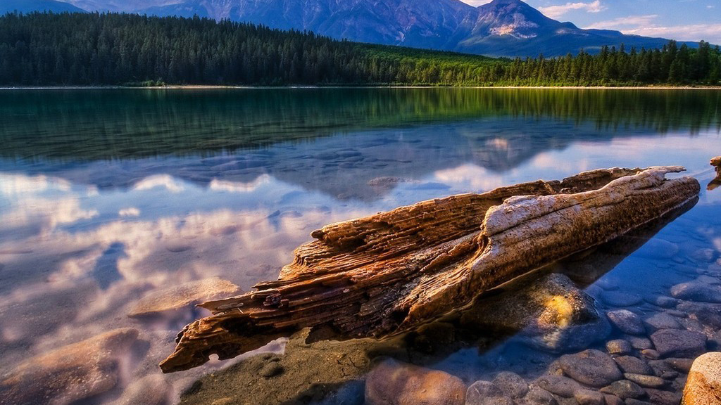 萬賓科技水環(huán)境綜合治理監(jiān)測系統(tǒng)，聚力改善水環(huán)境提升(圖2)